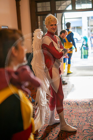 LFX_3162