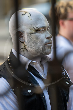 _LFX4409