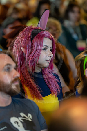 LFX_5323