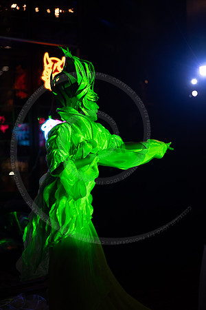 LFX_4209