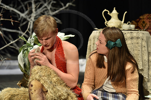 Narnia-443