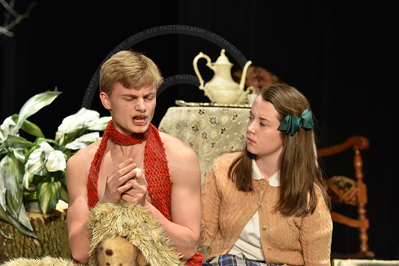 Narnia-452