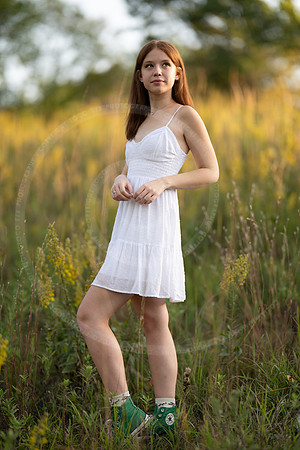 LFX_5910