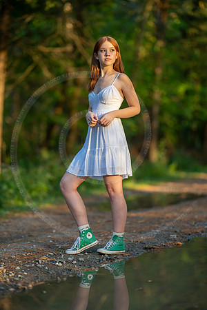 LFX_6003