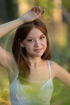 LFX_6115