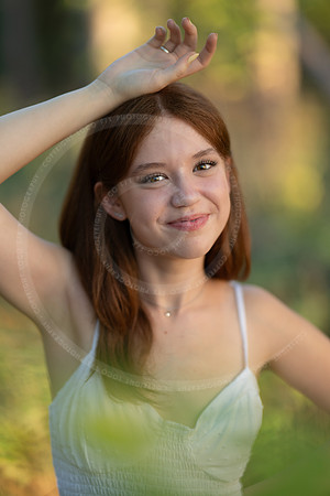LFX_6117