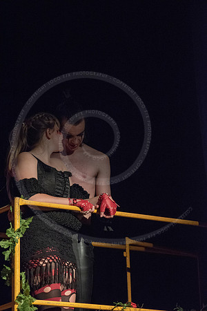 DSC_5381