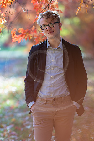 LFX_2014