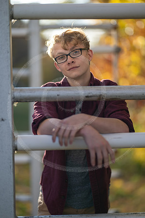 LFX_2113