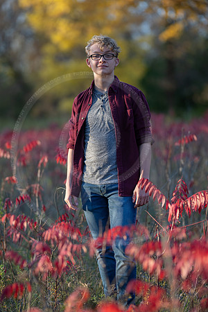 LFX_2287