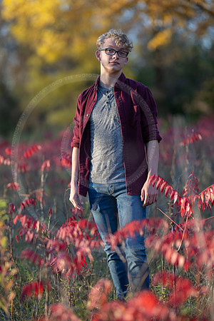 LFX_2290