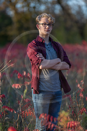 LFX_2292