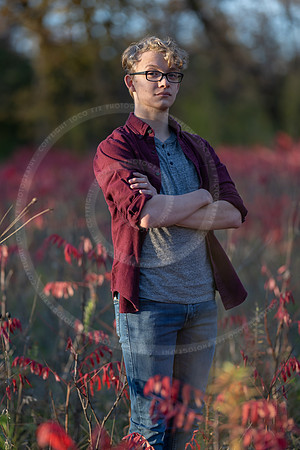 LFX_2293
