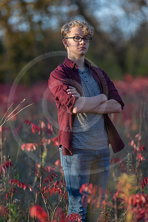 LFX_2294