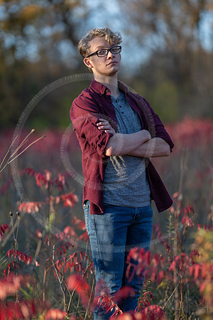 LFX_2297