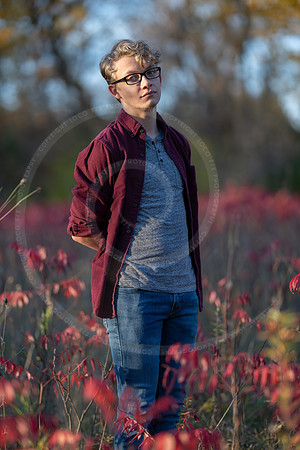 LFX_2303
