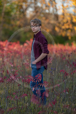 LFX_2310