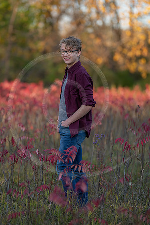 LFX_2311