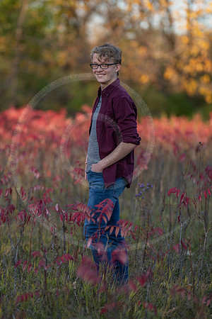 LFX_2312