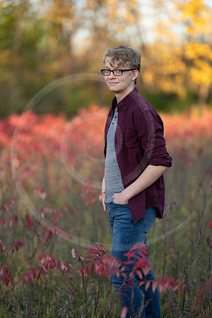 LFX_2315