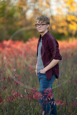 LFX_2316