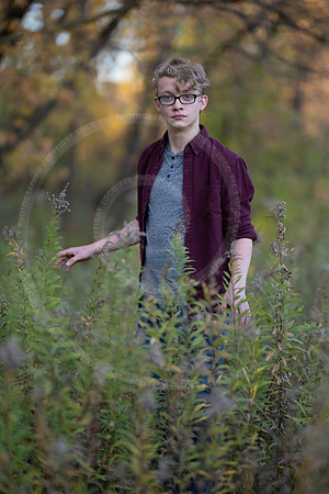 LFX_2317