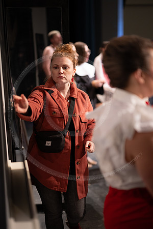 LFX_3010