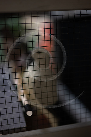 LFX_3100