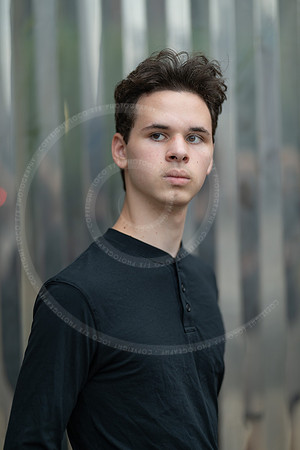 _LFX4493