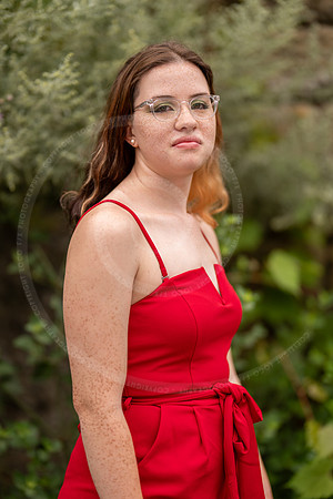 _LFX5660