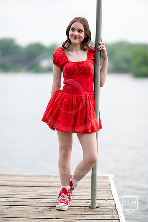 _LFX3399