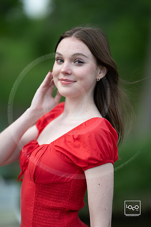 _LFX3453