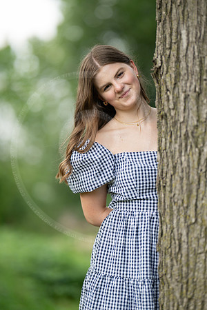 _LFX8558