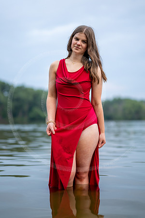 _LFX8811