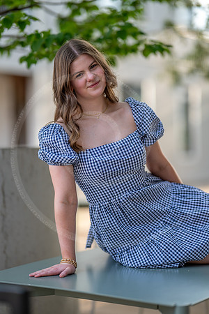 _LFX8466