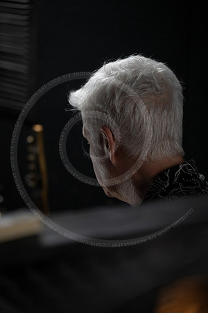 _LFX4203
