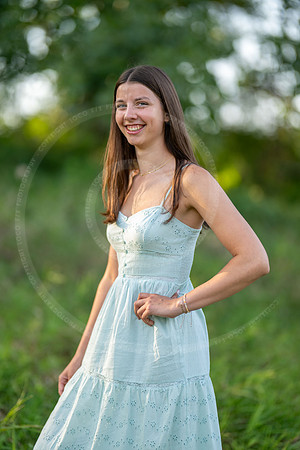 _LFX7739