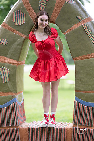 _LFX3497