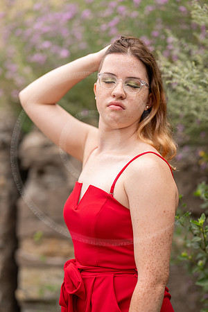 _LFX5688