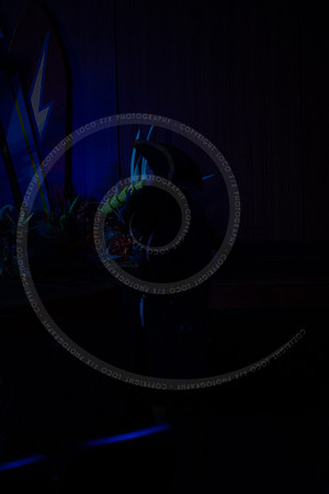 _LFX4273