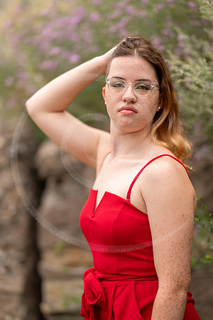 _LFX5685