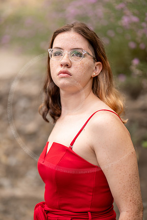 _LFX5713