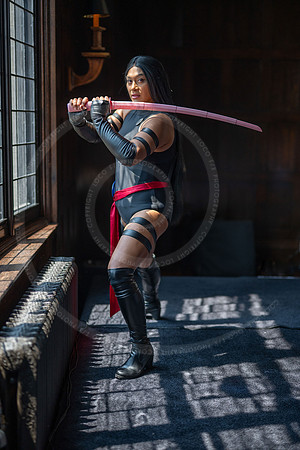 LFX_5530