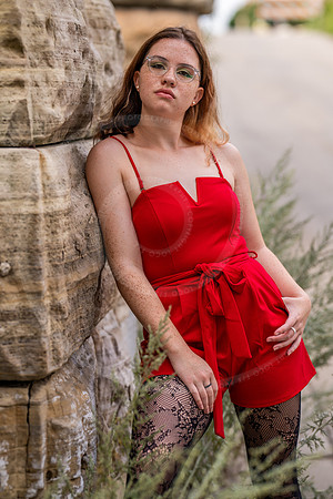 _LFX5619