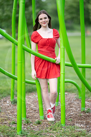 _LFX3508