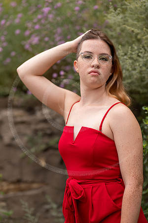 _LFX5690