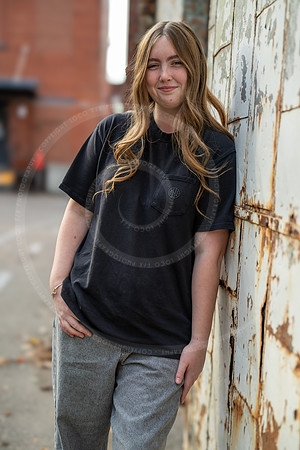 _LFX5381