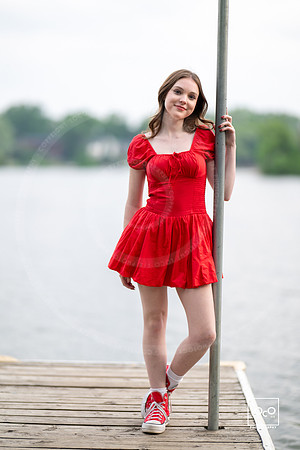 _LFX3395