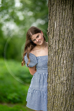 _LFX8553